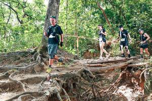 BIB: 
                            <button type="button" onclick="openModal(27718870)" class="btn btn-primary btn-sm float-right btn-popup" data-toggle="modal" data-target=".modal-high-quality">
                        <i class="fas fa-shopping-cart"></i> Add to Cart
                    </button>
                                            <button type="button" onclick="isThisMe(27718870, true)" class="btn btn-success btn-sm float-right btn-popup btn-isme hidden" data-toggle="tooltip" data-placement="bottom" title="นี่คือรูปของคุณใช่ไหม คลิกที่นี่เพื่อเอาเข้าอัลบั้ม">
                        <i class="fas fa-plus"></i> Add to album
                    </button>
                    <button type="button" onclick="isThisMe(27718870, false)" class="btn btn-warning btn-sm float-right btn-popup btn-isnotme hidden">
                        <i class="fas fa-ban"></i> Remove from album
                    </button>